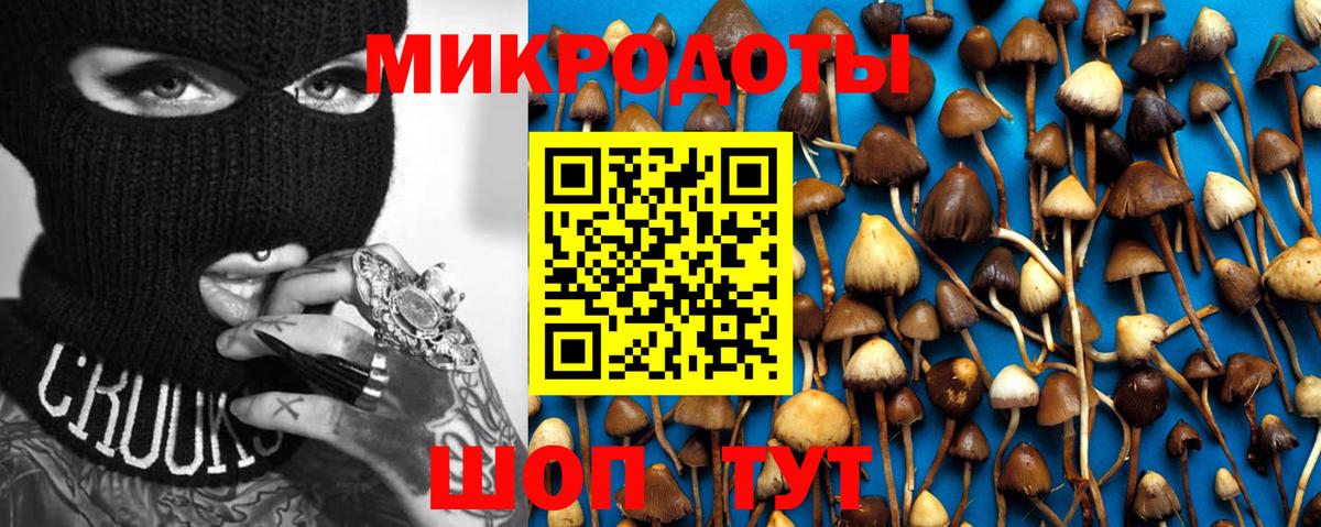 Галлюциногенные грибы Cubensis Артёмовский